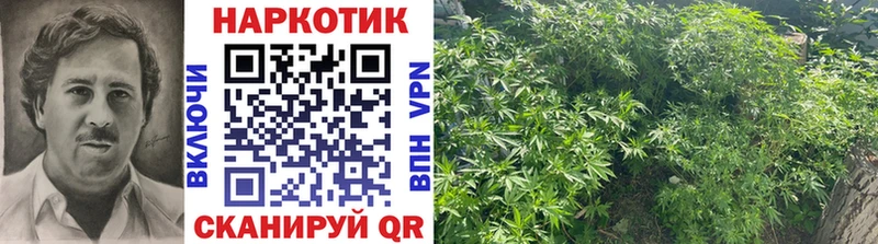Наркошоп купить ГАШ  Cocaine  Амфетамин  Меф  APVP  Велиж